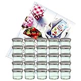 MamboCat 25er Set Sturzglas 125 ml Marmeladenglas Einmachglas Einweckglas to 66 silberner Deckel incl. Diamant-Zucker Gelierzauber Rezeptheft